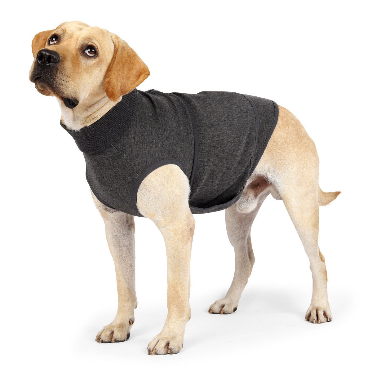 Pet Polyester Emotional Comfort Cotton Double Jacket Clothes