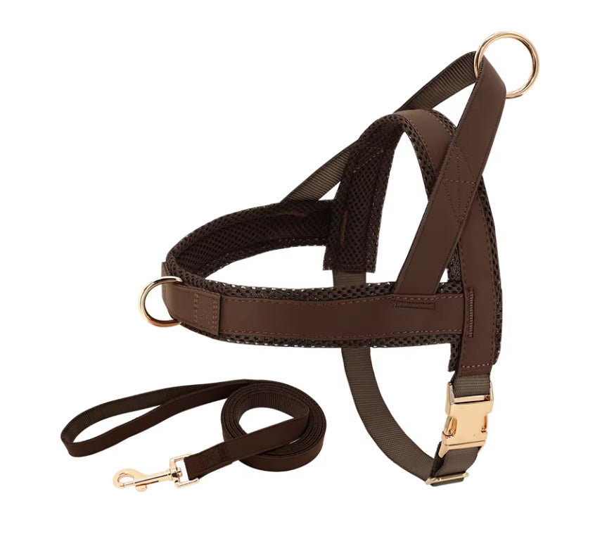 Lettering Large Dog Vest Chest Harness