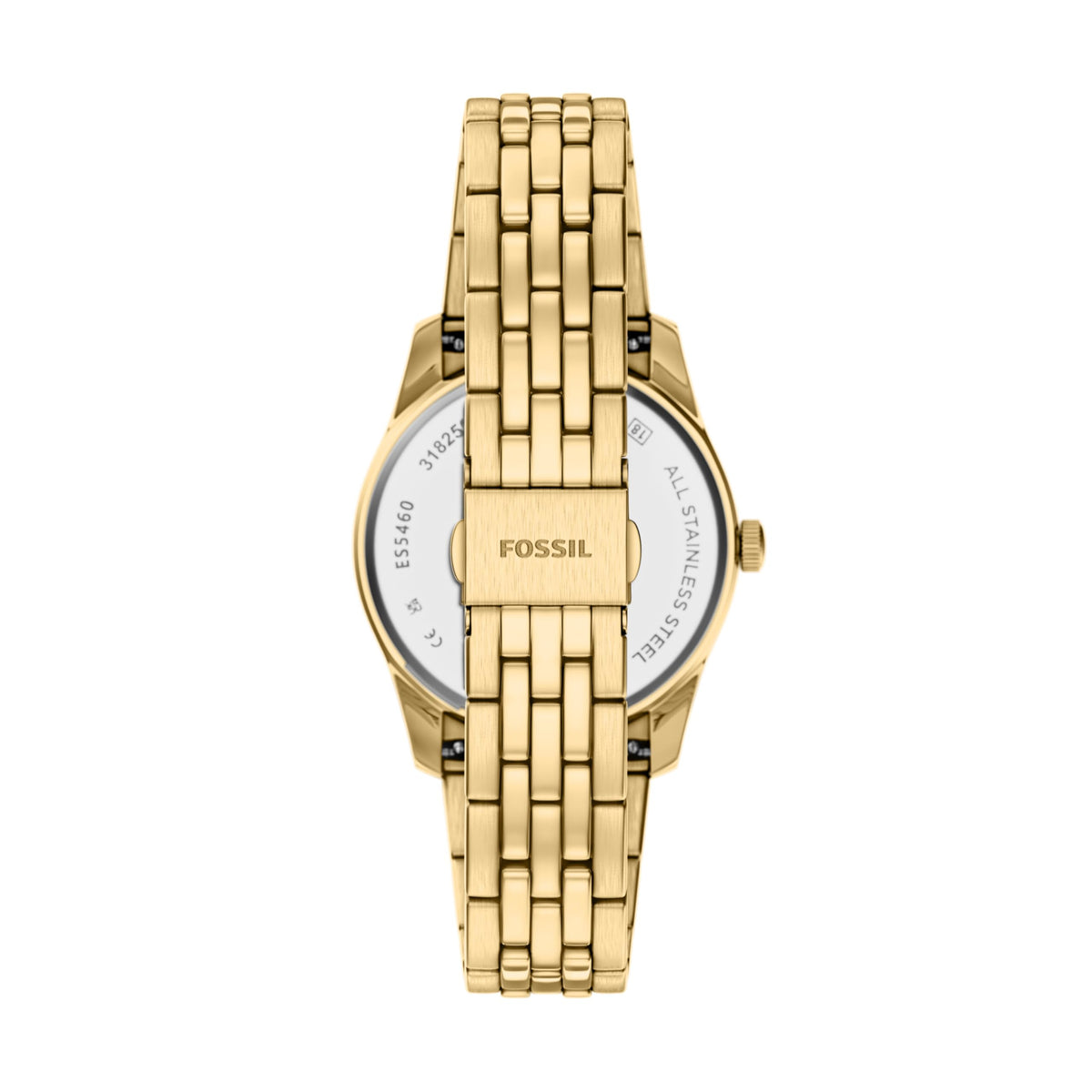 Fossil Women&