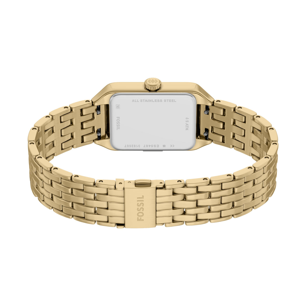 Fossil Women&