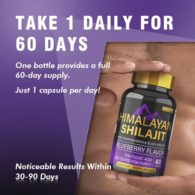 BSYS SHILAJIT GUMMIES 60&