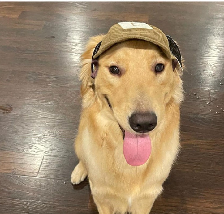 Pet Hat Sports Sunscreen Dog Breathable