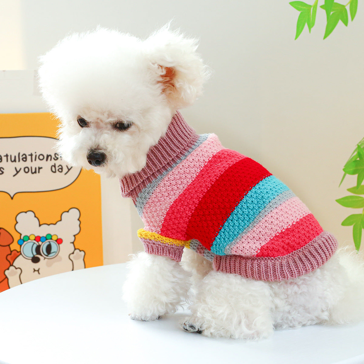 Pet Ring Comfortable Color Stripes Colorful Sweater