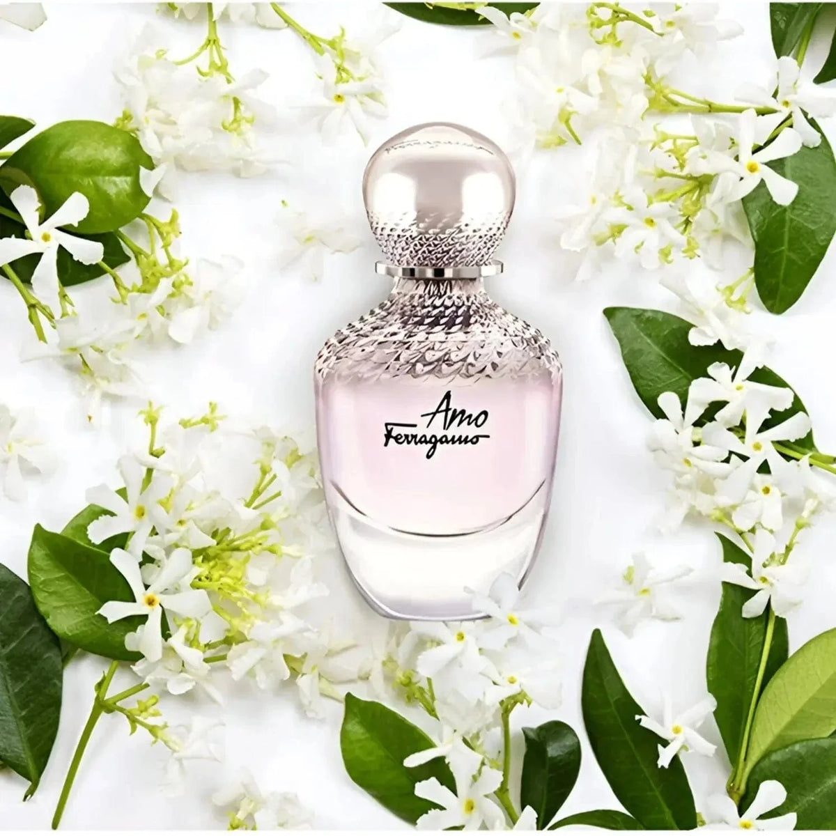Amo Ferragamo By Salvatore Ferragamo For women 3.4oz EDP Spray