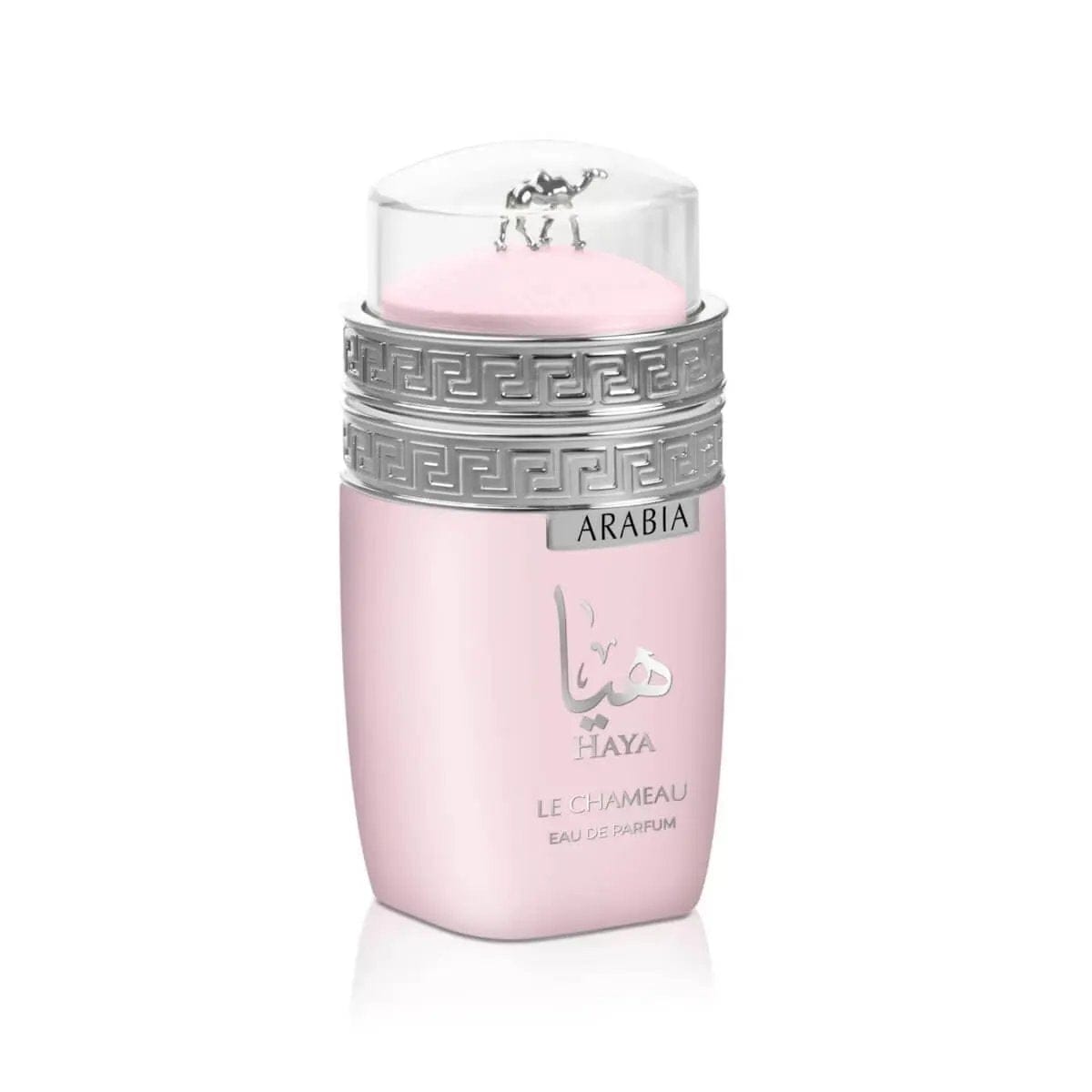 Arabia Haya By Le Chameau For Unisex 3.4oz EDP Spray