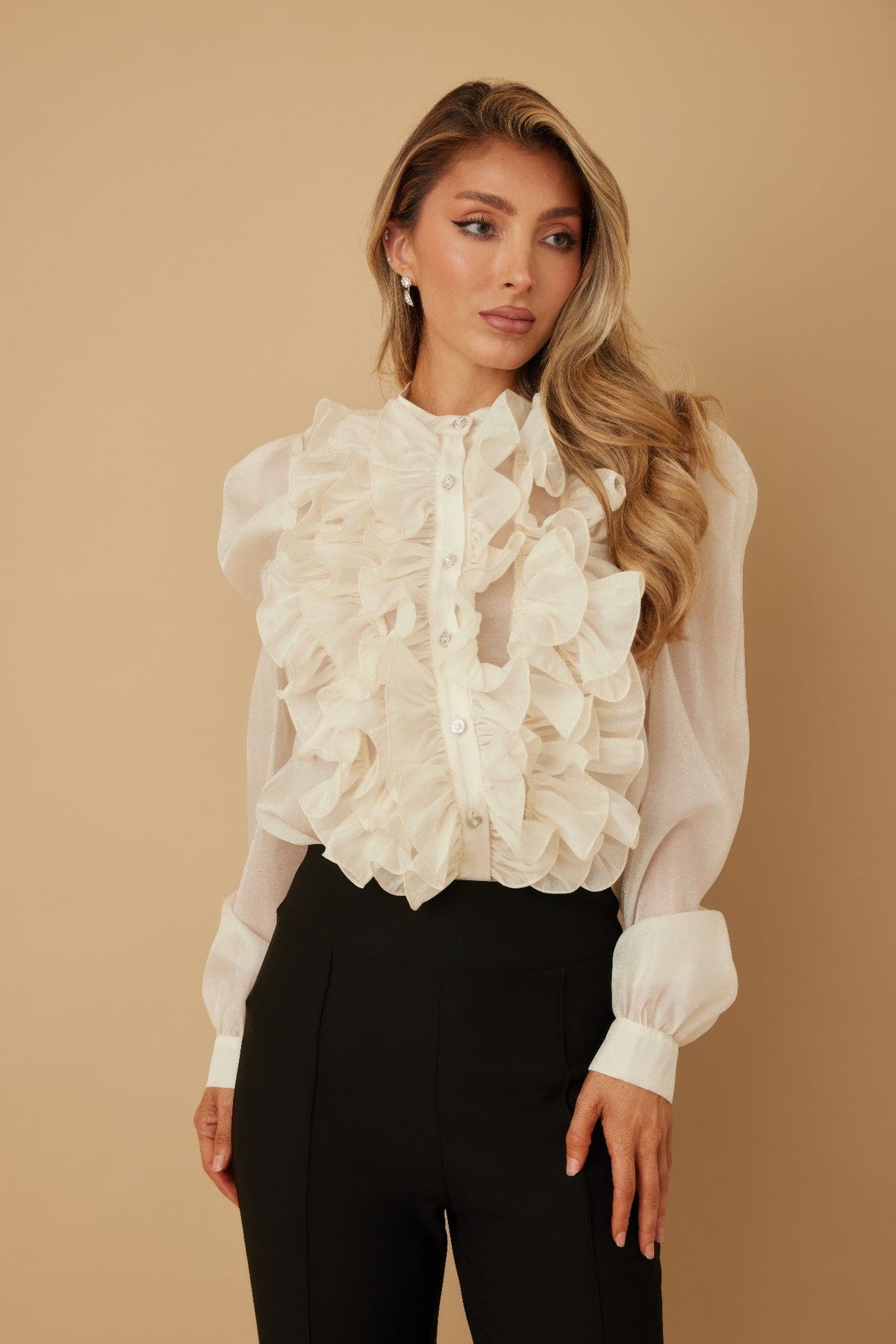 Ruffle Micro Crystal Long Sleeve Blouse
