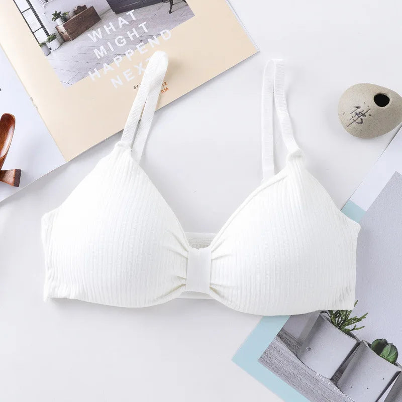 Wire Free Bras For Women Push-Up Bra Sexy Lingerie Padded Bra Top Seamless Underwear Solid Color Brassiere Intimates