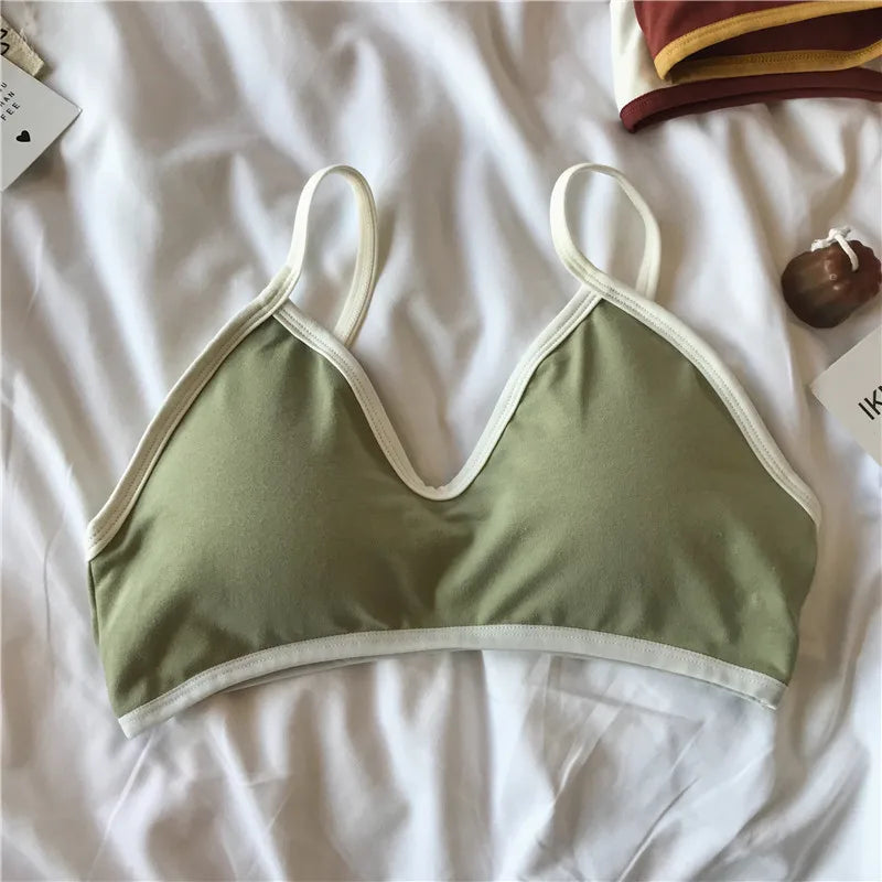 Women Wireless Bra Comfort Cotton Fabric Padded Bras Sexy Lingerie Small Cup Tube Top Removable Pads Brassiere One Size