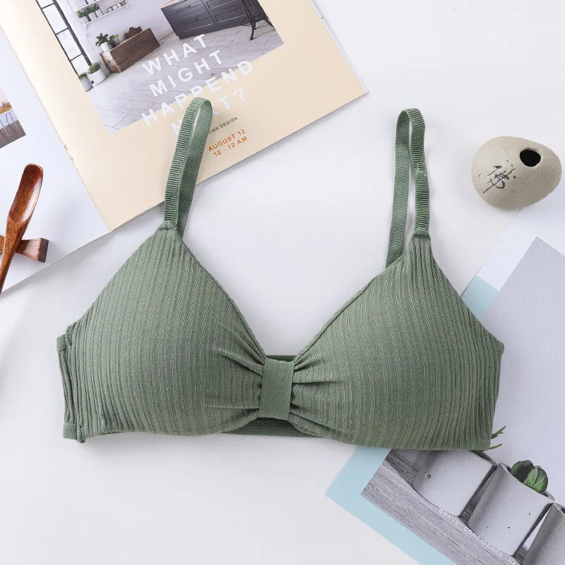 Wire Free Bras For Women Push-Up Bra Sexy Lingerie Padded Bra Top Seamless Underwear Solid Color Brassiere Intimates