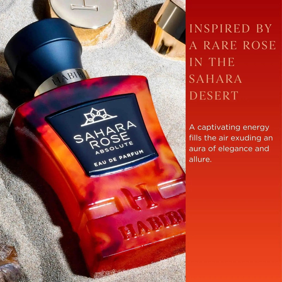 Sahara Rose Absolute By Habibi Unisex 2.5 oz Eau De Parfum Spray
