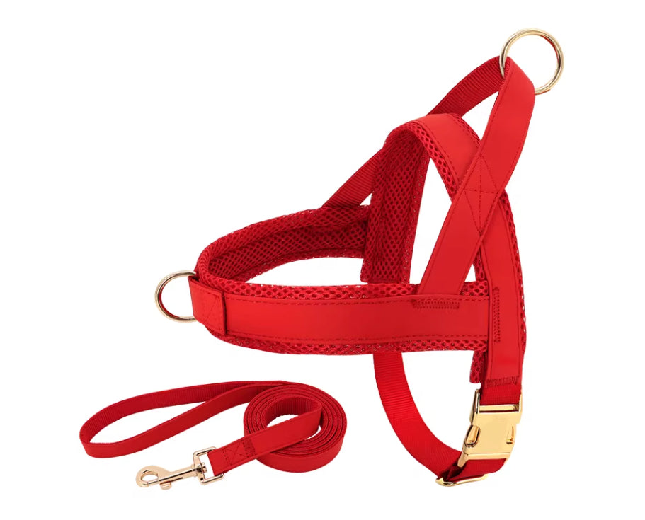 Lettering Large Dog Vest Chest Harness