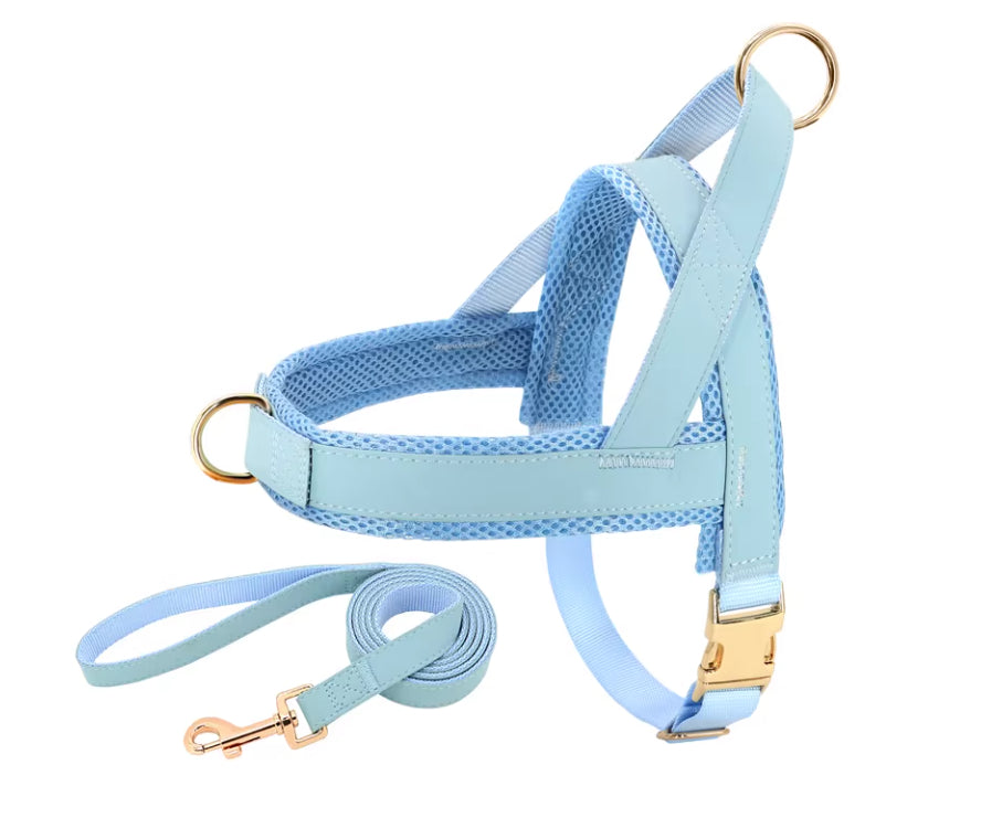 Lettering Large Dog Vest Chest Harness