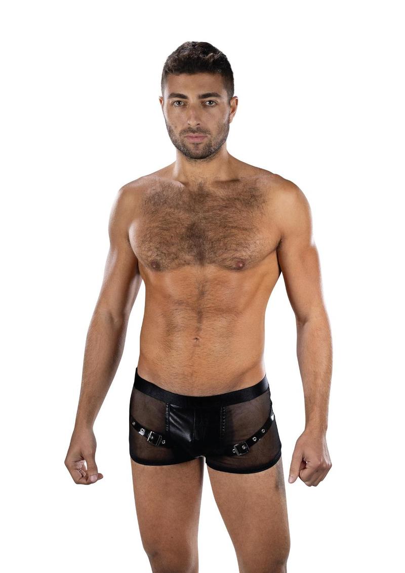 ENVY Sheer Command Boxer Briefs