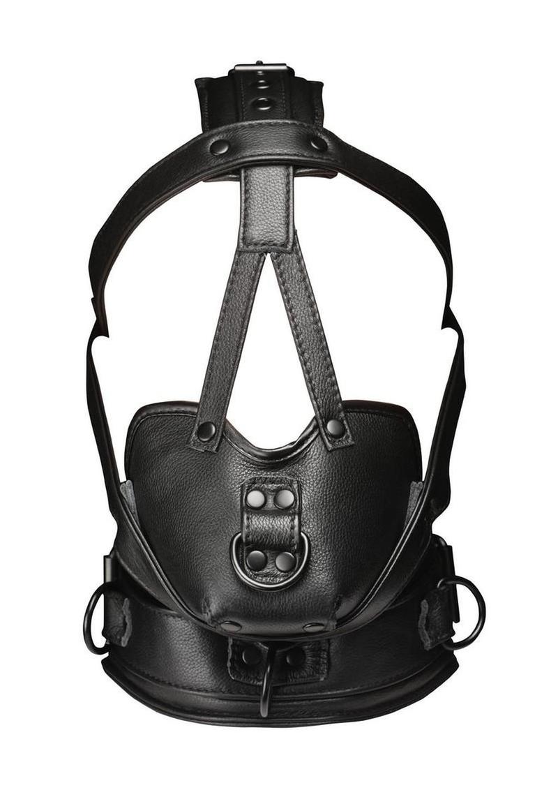 Master Series Leather Head Harness