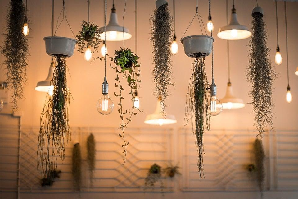 Retro Edison Light Bulb Vintage Edison Lamp Vintage Incandescent Edison Light Bulbs Edison Filament Light Bulb Dimmable Warm White Different Shape Light