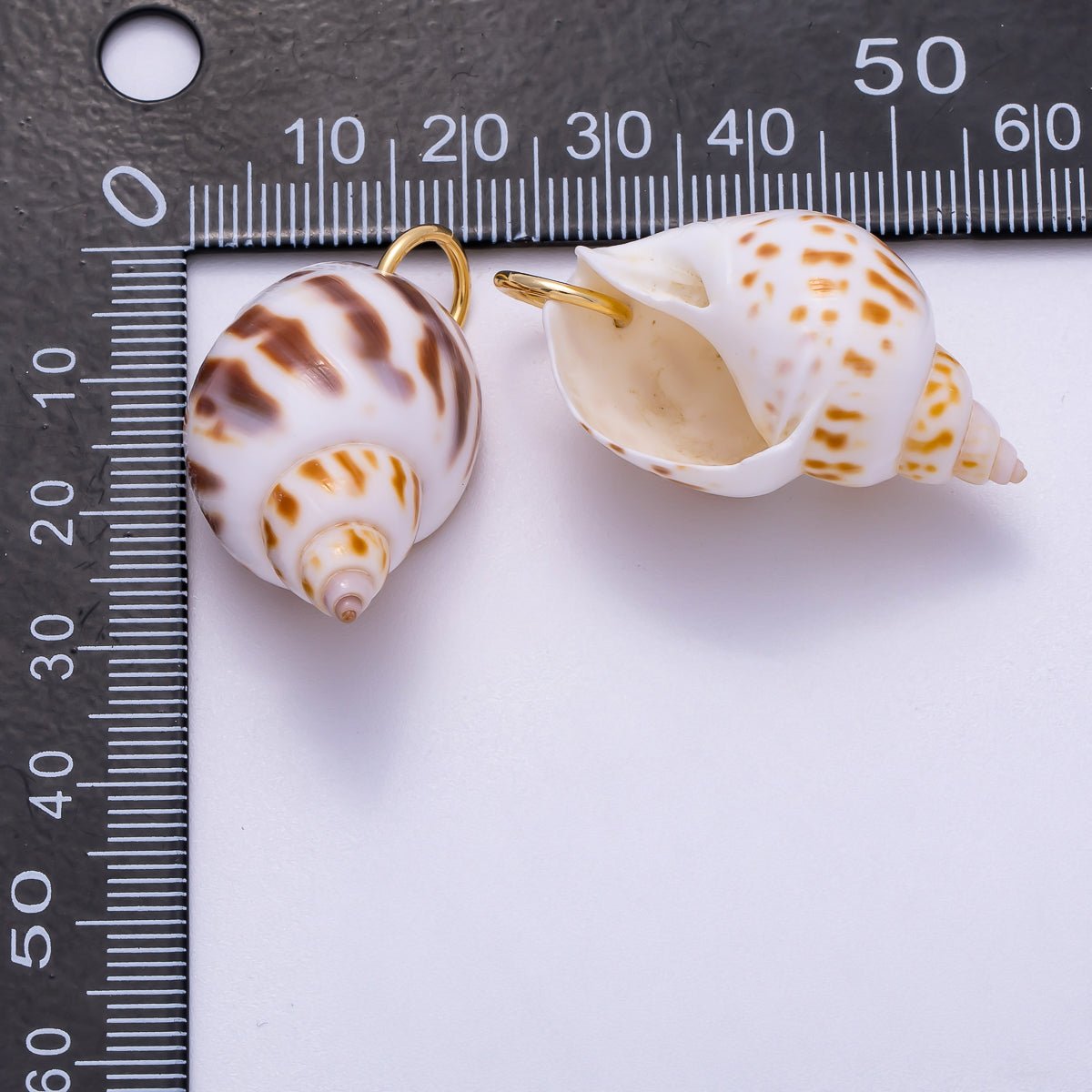 SUMMER 18K Gold Filled 33mm Spotted Conch Shell Charm | Charms-00556