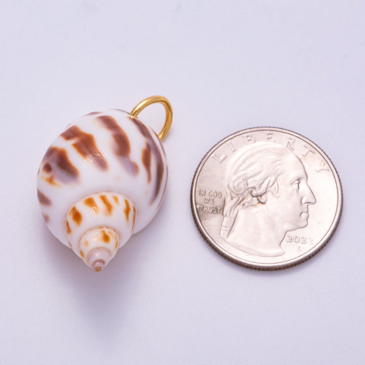 SUMMER 18K Gold Filled 33mm Spotted Conch Shell Charm | Charms-00556