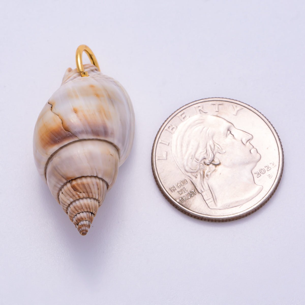 SUMMER 18K Gold Filled 34mm Natural Conch Sea Shell Charm | Charms-00555