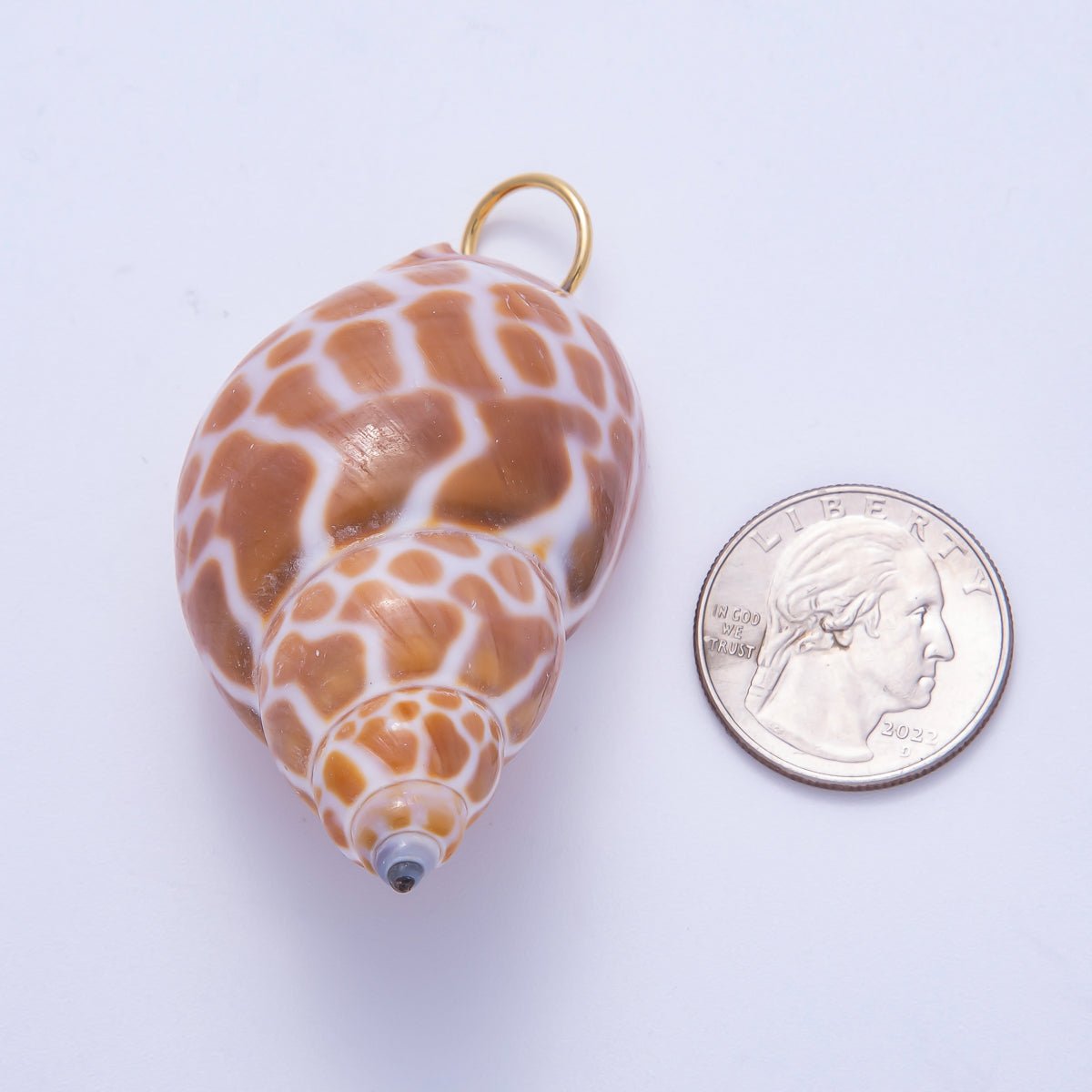 SUMMER 18K Gold Filled 52mm Natural Brown Spotted Conch Shell Pendant | Charms-00559