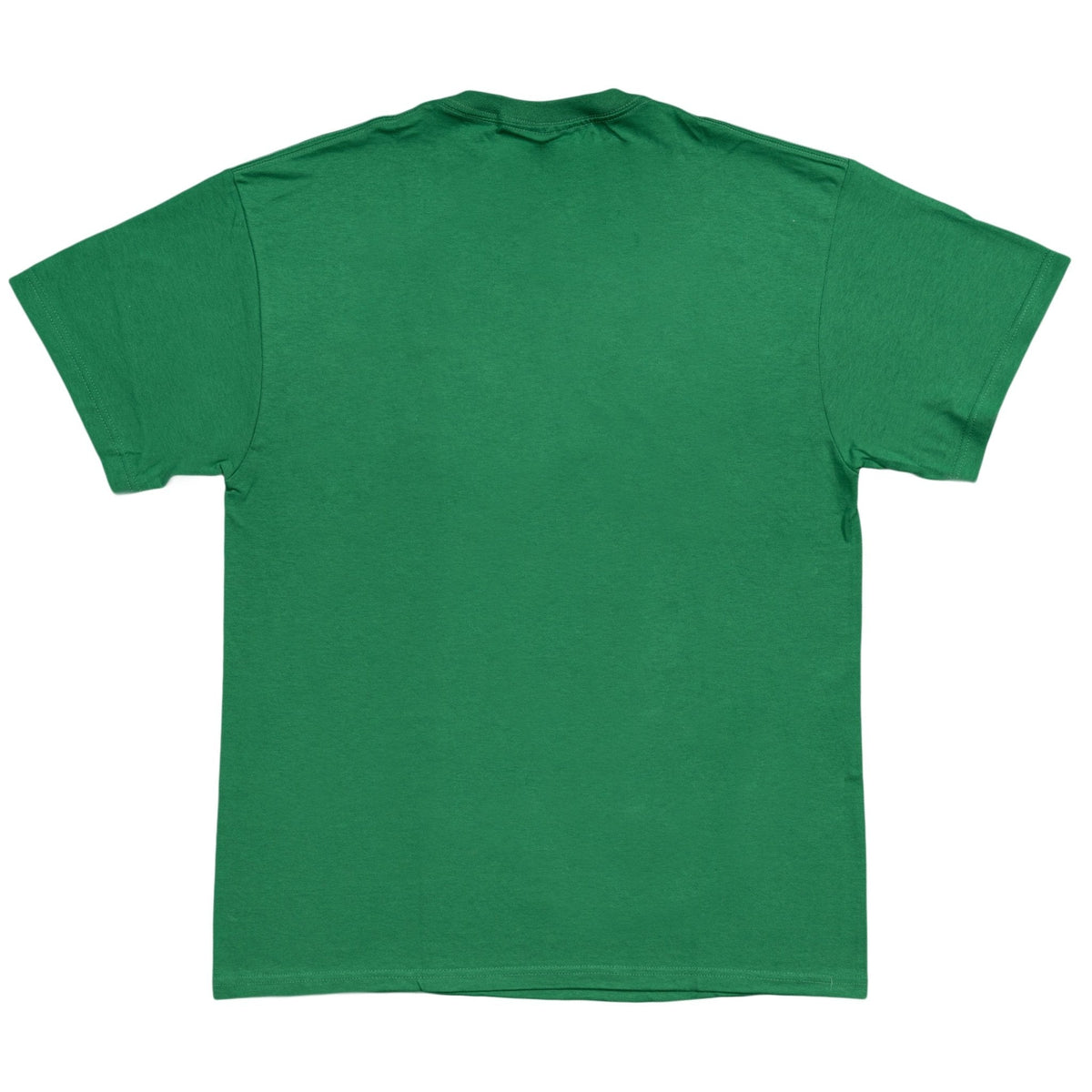 Zelda Skyward Sword Link T-Shirt