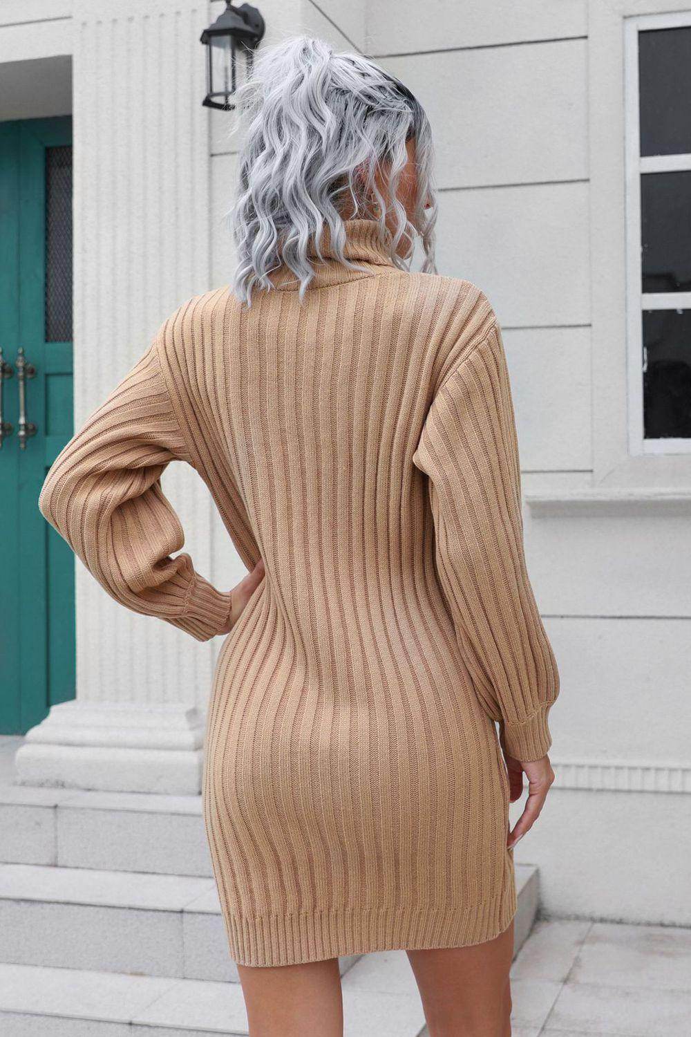 Ribbed Turtle Neck Long Sleeve Mini Sweater Dress for Women