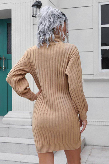 Ribbed Turtle Neck Long Sleeve Mini Sweater Dress for Women