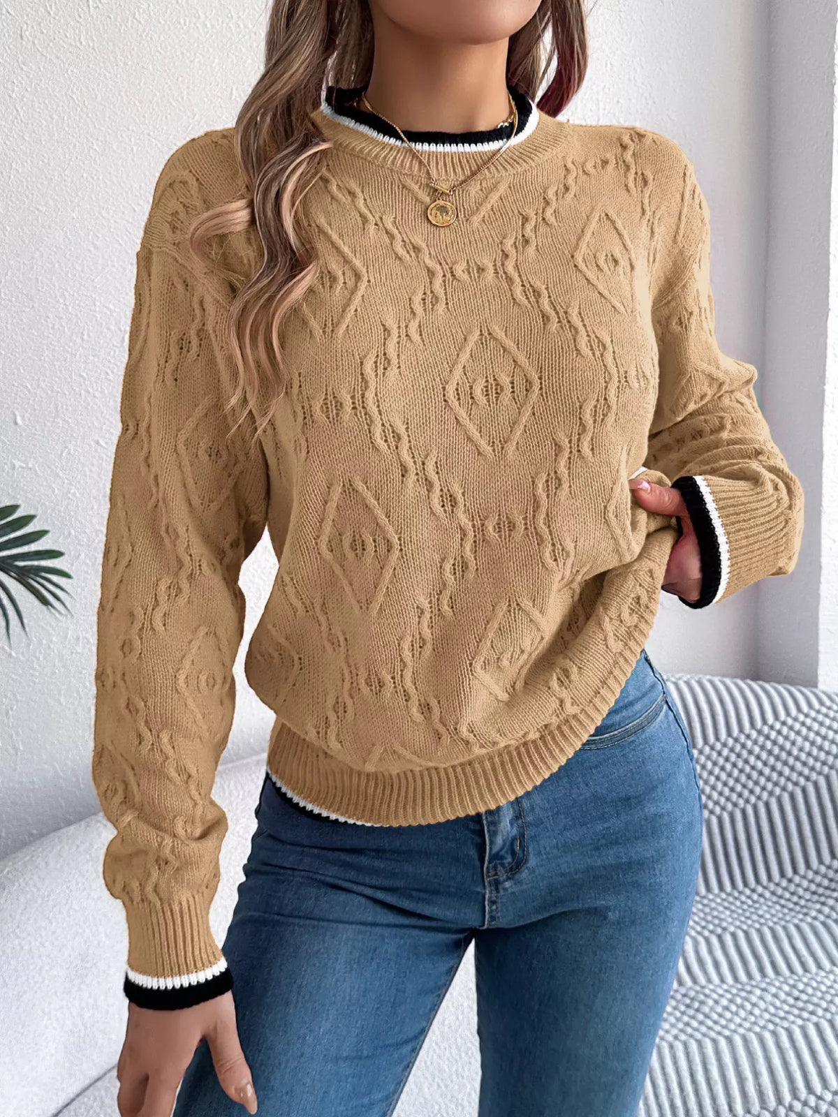 Contrast Trim Round Neck Sweater