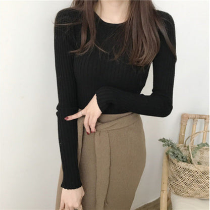 Round Neck Cored Yarn Slim Fit Sweater