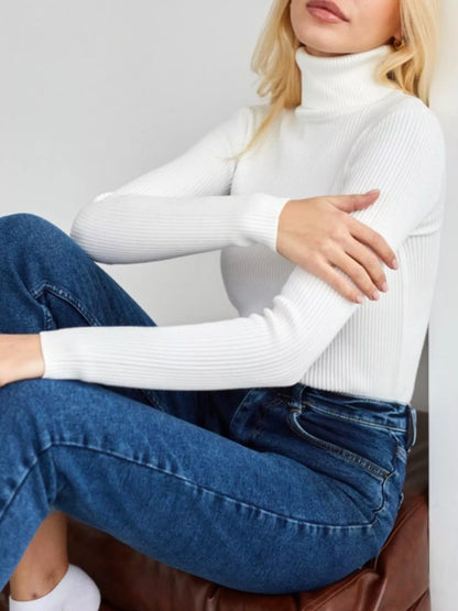 Full Size Ribbed Knit Turtleneck Sweater Plus Size