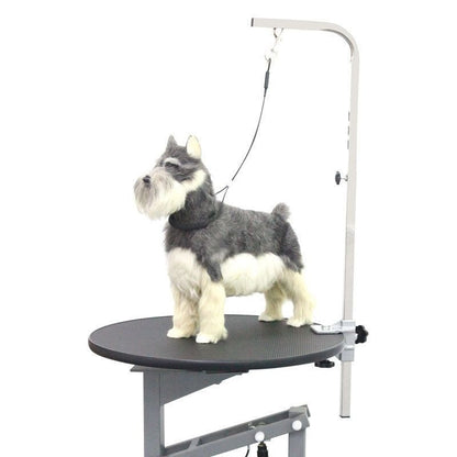 Pet Bath Fixed Rope Steel Wire Beauty Rope Sucker