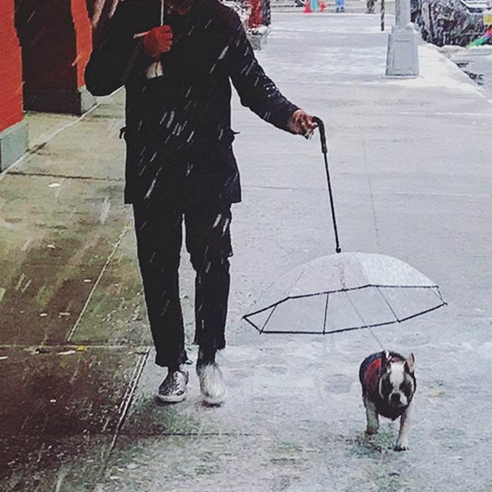 Dog&