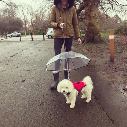 Dog&