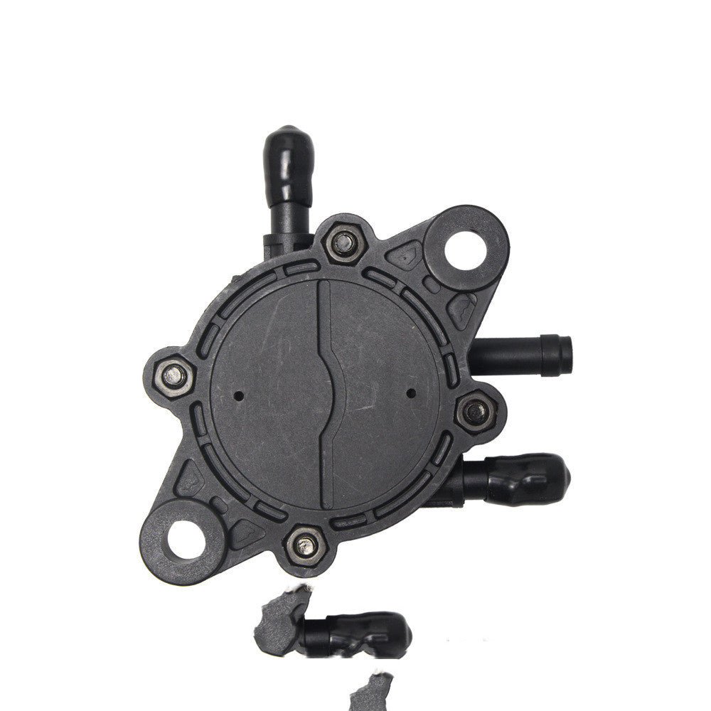 Blackstone Fuel Pump 491922–808281