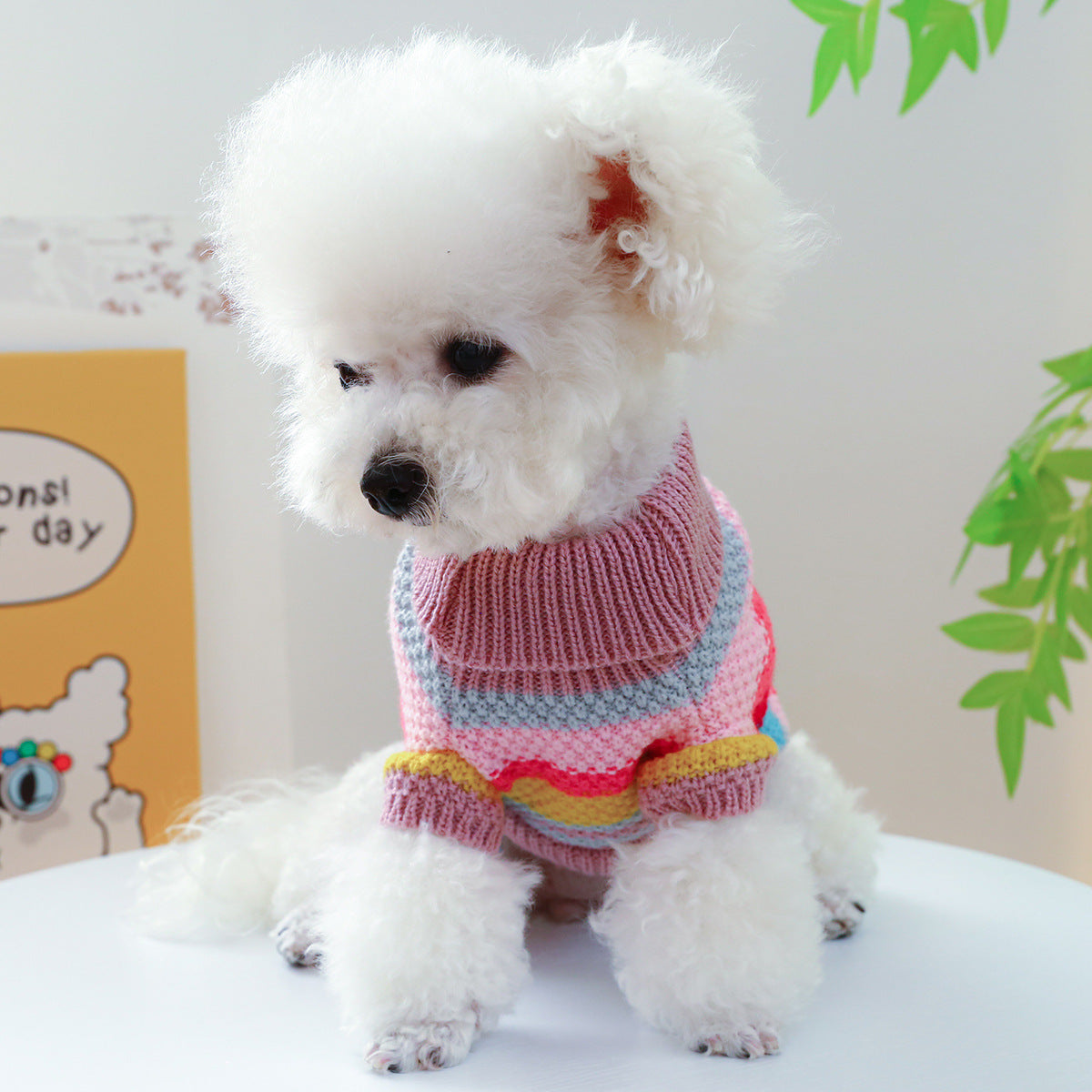 Pet Ring Comfortable Color Stripes Colorful Sweater