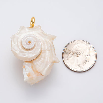 SUMMER 18K Gold Filled 56mm Natural Nautilus Conch Clam Seashell Beach Charm | CHARMS-00435