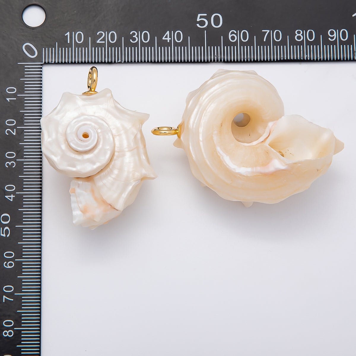 SUMMER 18K Gold Filled 56mm Natural Nautilus Conch Clam Seashell Beach Charm | CHARMS-00435