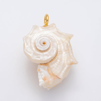 18K Gold Filled 56mm Natural Nautilus Conch Clam Seashell Beach Charm | CHARMS-00435