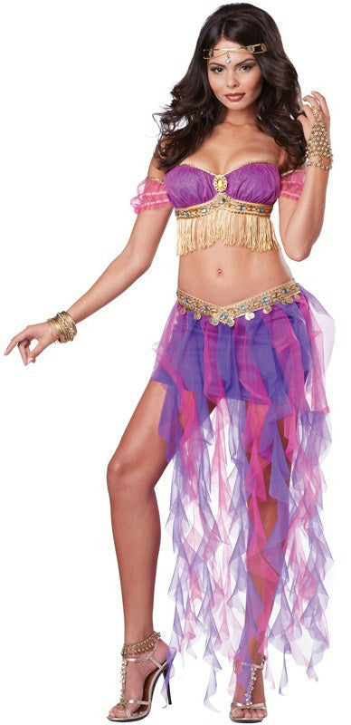 Pink &amp; Purple Belly Dancer Adult Costume XS 4-6