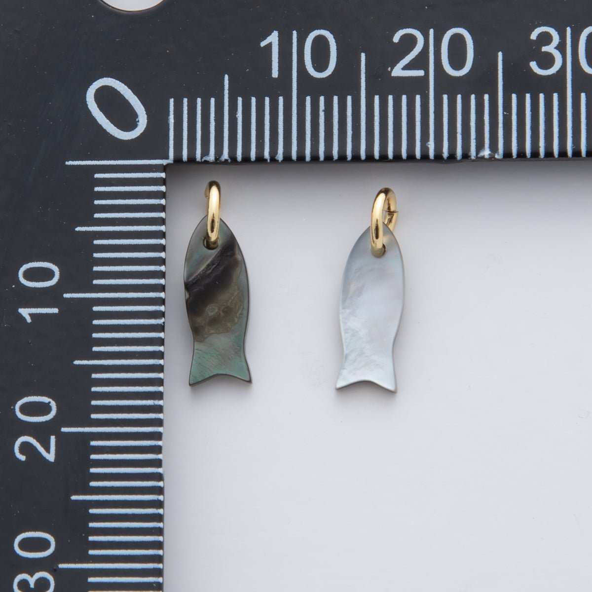 24K Gold Filled 15mm Abalobe Gemstone Fish Charm | D264