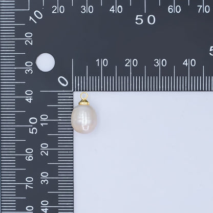 24K Gold Filled Shell Pearl Ringed Button Mini Charm | P1942