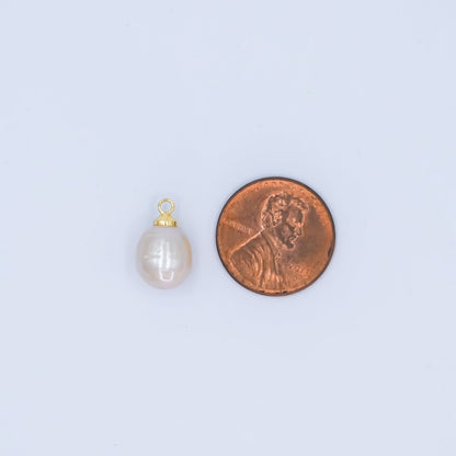24K Gold Filled Shell Pearl Ringed Button Mini Charm | P1942