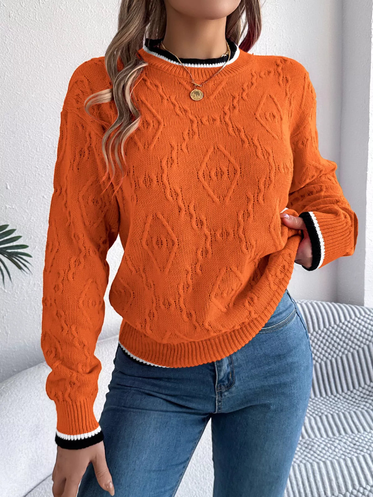 Contrast Trim Round Neck Sweater