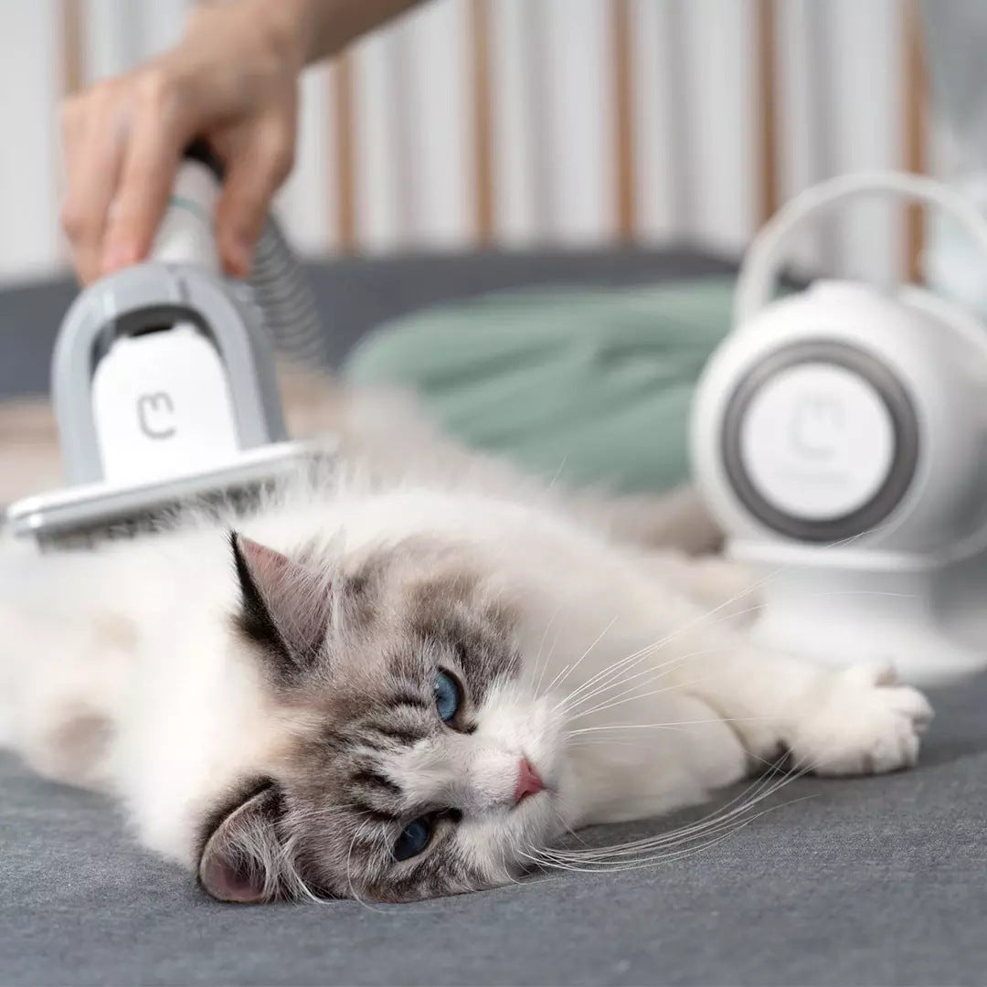 Multifunctional Pet Grooming &amp; Trimming Tool – All-in-One Pet Care