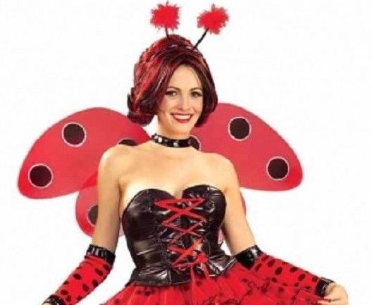 Luscious Ladybug Adult Costume Size Medium/Large