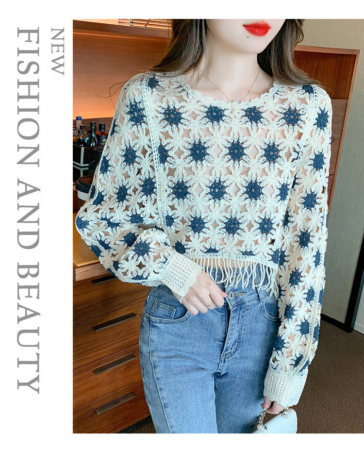 Geometric Pattern Long Sleeve Lace Pullover