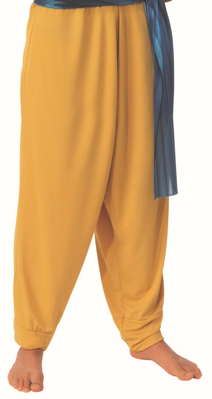 Sultan Arabian Prince Aladdin Adult Costume Size X-Large