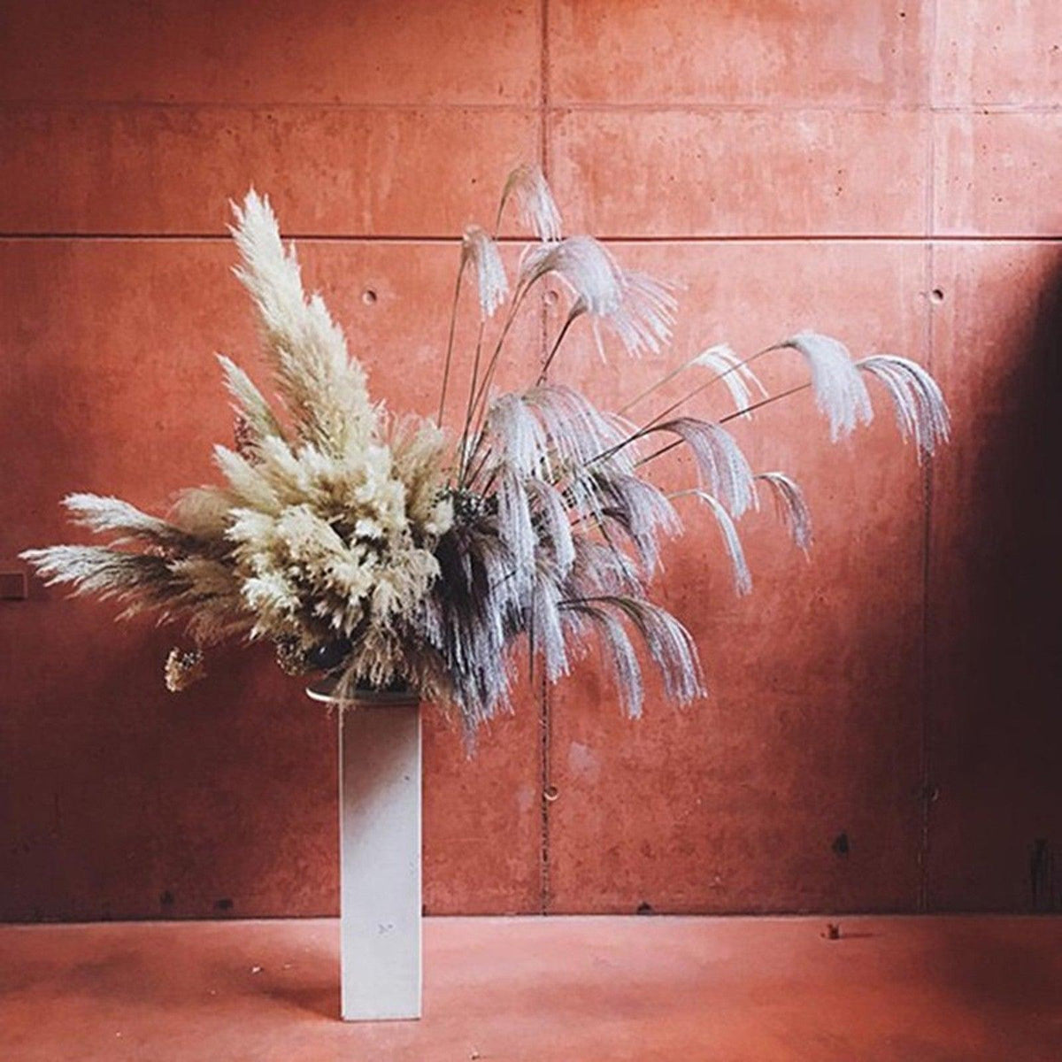 50Pcs/Bunch 50cm Natural Phragmites Reed Flowers Bulrush Bouquet Big Dried Pampas Grass Wedding Decoration Home Fall Decor