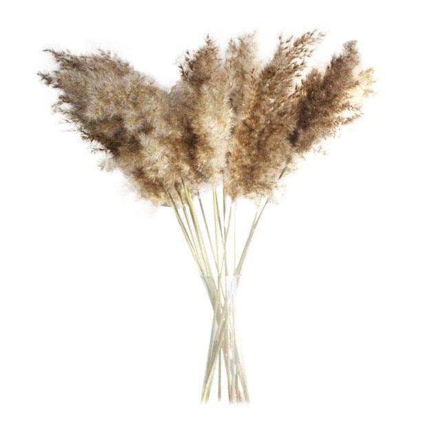 50Pcs/Bunch 50cm Natural Phragmites Reed Flowers Bulrush Bouquet Big Dried Pampas Grass Wedding Decoration Home Fall Decor