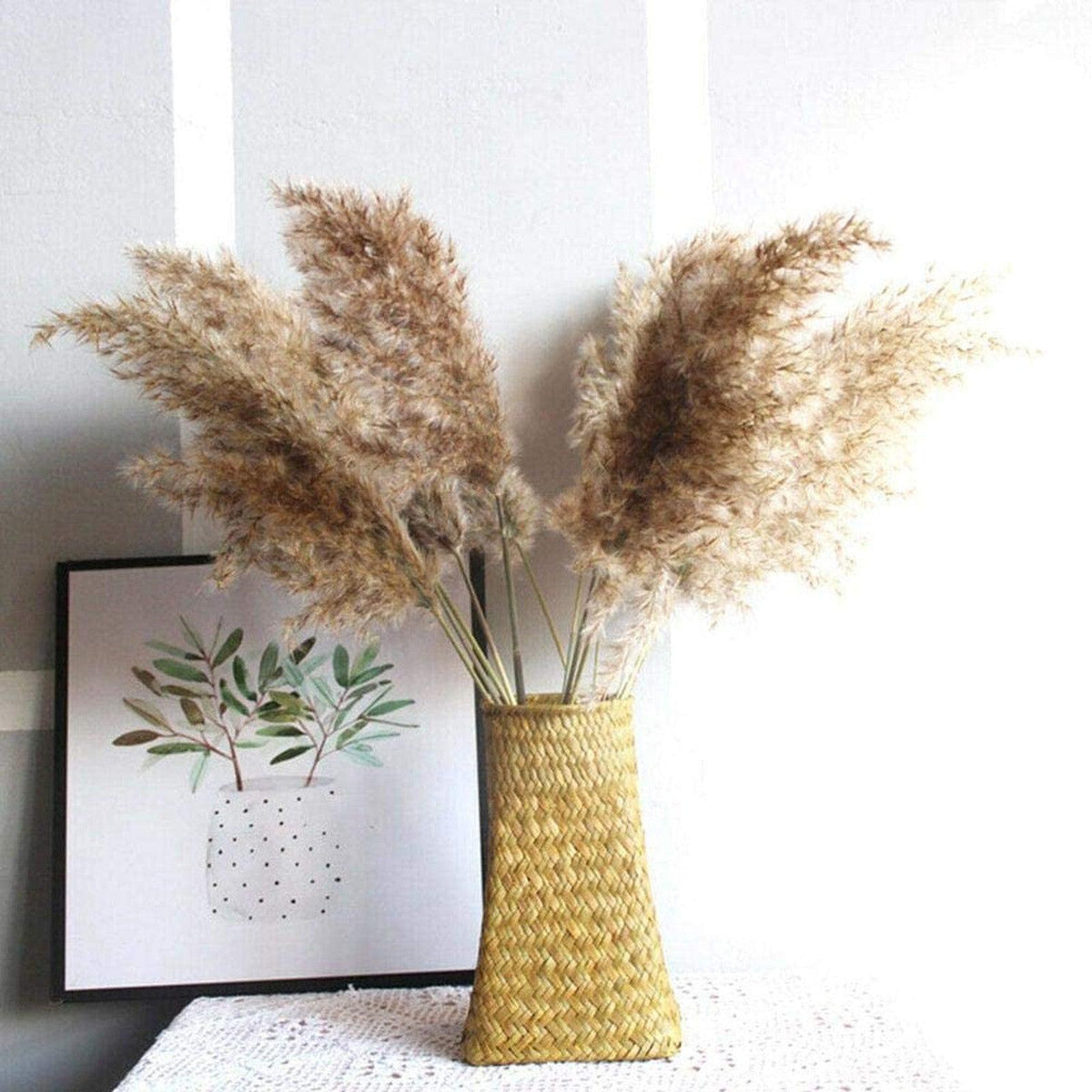 50Pcs/Bunch 50cm Natural Phragmites Reed Flowers Bulrush Bouquet Big Dried Pampas Grass Wedding Decoration Home Fall Decor