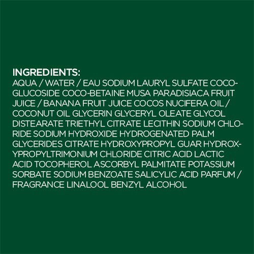 Garnier Fructis Pure Clean Purifying Shampoo, Silicone-Free, 12.5 Fl Oz, 1 Count (Packaging May Vary)